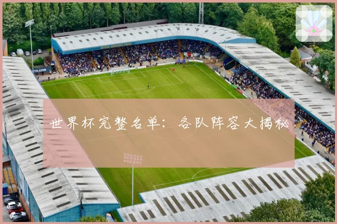 世界杯完整名单：各队阵容大揭秘