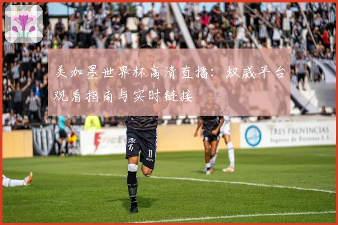美加墨世界杯高清直播：权威平台观看指南与实时链接