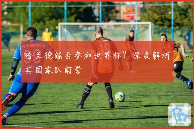 哈兰德能否参加世界杯？深度解析其国家队前景