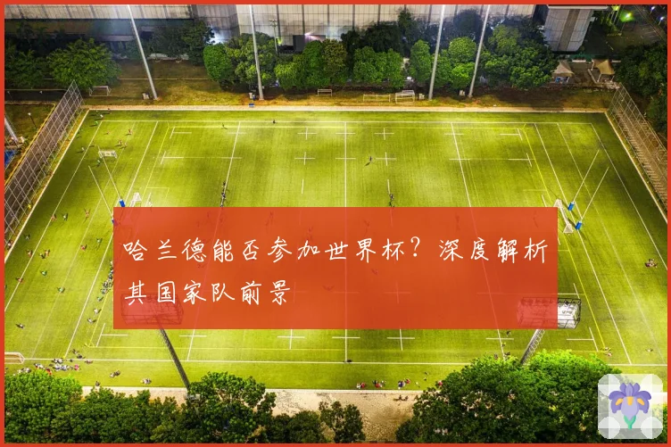 哈兰德能否参加世界杯？深度解析其国家队前景