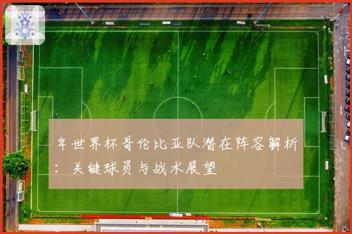 年世界杯哥伦比亚队潜在阵容解析：关键球员与战术展望
