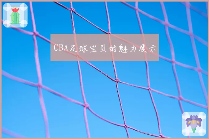 CBA足球宝贝的魅力展示