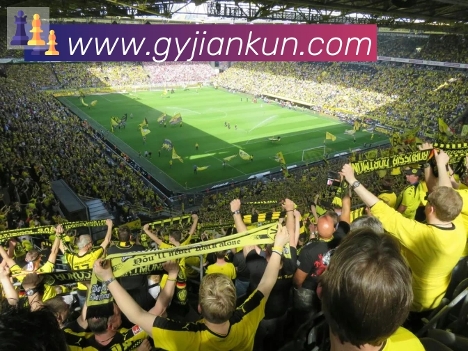 开云kaiyun网页版平台生态图