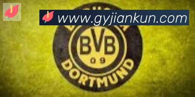 开云kaiyun网页版合作伙伴